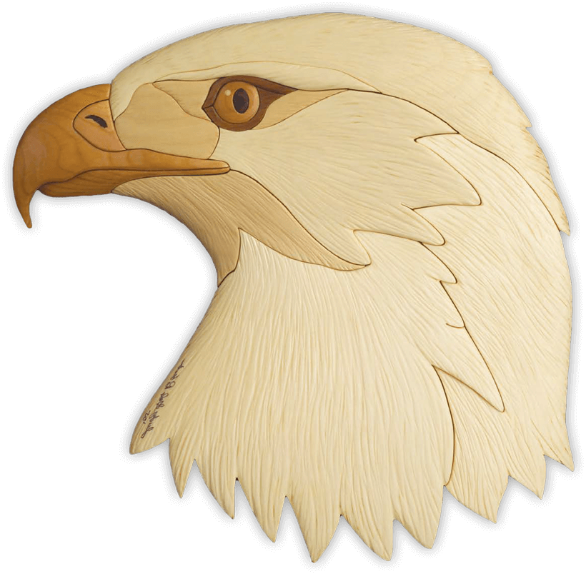 Intarsia Eagle Head Art Design