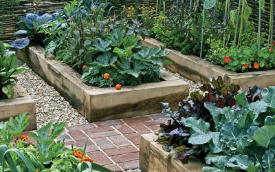 Six Reasons to Grow Vegetable with Raised Beds