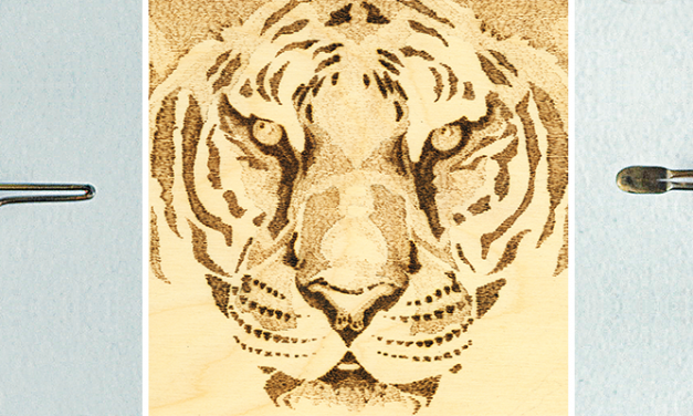 Learning Tones: Bengal Tiger Pyrography Practice Project