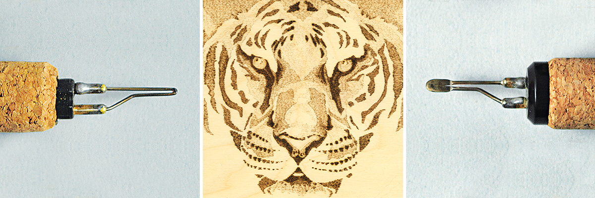 Learning Tones: Bengal Tiger Pyrography Practice Project