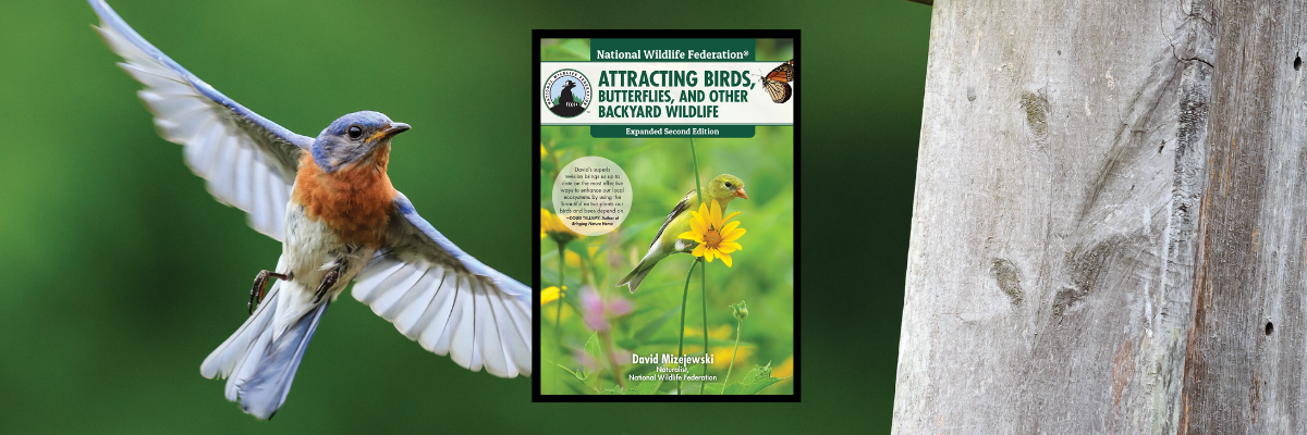 AWARD-WINNING AUTHOR AND TV PERSONALITY SHARES GARDENING TIPS TO ATTRACT BIRDS AND OTHER WILDLIFE IN NEW EDITION OF BOOK