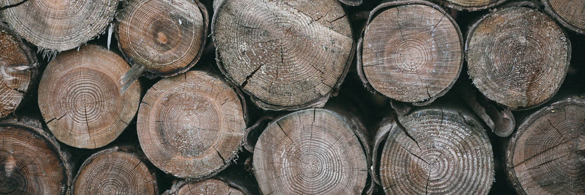 Choosing Woods for Outdoor Projects