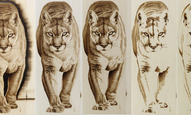 6 Woodburning Tips for Creating Realistic Animals