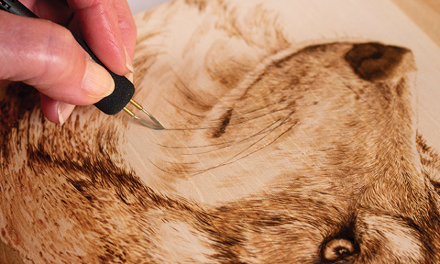 Which Wood Burning Pen is Right for you?