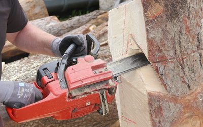 Chainsaw Carving Tips & Tricks