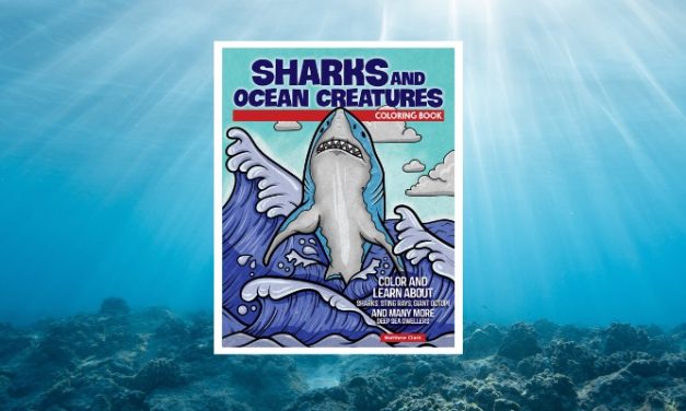 Fox Chapel Launches Shark Coloring Book Ahead of Historic Shark Week